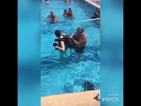 Fiesta Infantil CNA 2016