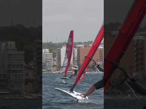 61 Gran Día de la Vela - Bufete Frau 2025 · 23 agosto