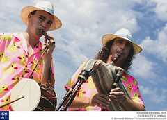 Amollada d'ànneres 2025