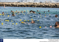 Amollada d'ànneres 2025