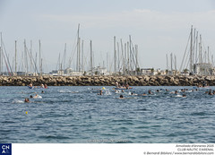 Amollada d'ànneres 2025