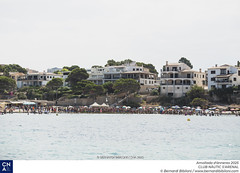 Amollada d'ànneres 2025