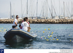 Amollada d'ànneres 2025