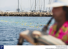 Amollada d'ànneres 2025