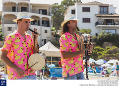 Amollada d'ànneres 2025