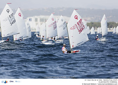 61 Gran Día de la Vela - Bufete Frau 2025 · 28/08