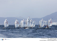 61 Gran Día de la Vela - Bufete Frau 2025 · 29/08