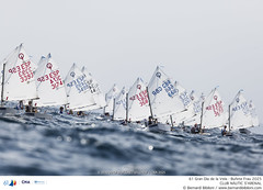 61 Gran Día de la Vela - Bufete Frau 2025 · 29/08