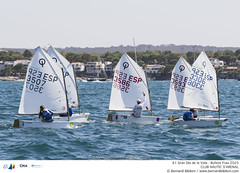 61 Gran Día de la Vela - Bufete Frau 2025 · 30/08