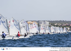 61 Gran Día de la Vela - Bufete Frau 2025 · 31/08