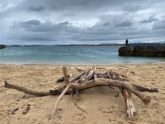 Exposició concurs fotogràfic 2025