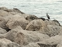 Exposició concurs fotogràfic 2025