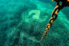 Exposició concurs fotogràfic 2025