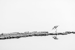 Exposició concurs fotogràfic 2025