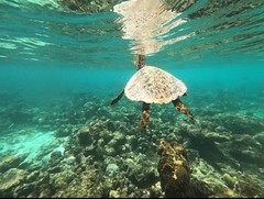 Exposició concurs fotogràfic 2025