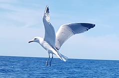 Exposició concurs fotogràfic 2025