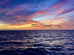 Exposició concurs fotogràfic 2025