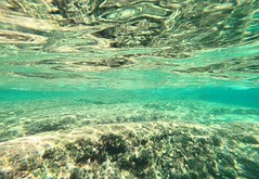 Exposició concurs fotogràfic 2025