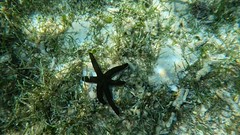 Exposició concurs fotogràfic 2025