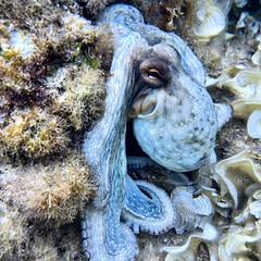 Exposició concurs fotogràfic 2025