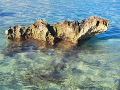 Exposició concurs fotogràfic 2025