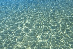 Exposició concurs fotogràfic 2025