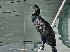 Exposició concurs fotogràfic 2025