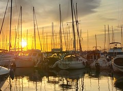 Exposició concurs fotogràfic 2025