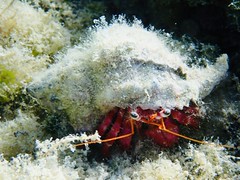 Exposició concurs fotogràfic 2025