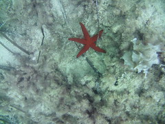 Exposició concurs fotogràfic 2025