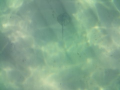 Exposició concurs fotogràfic 2025