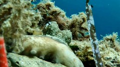 Exposició concurs fotogràfic 2025