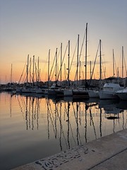 Exposició concurs fotogràfic 2025