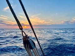 Exposició concurs fotogràfic 2025