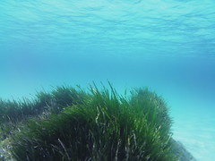 Exposició concurs fotogràfic 2025