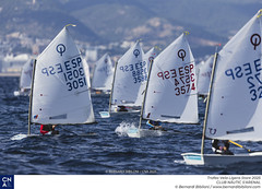 Trofeo Vela Ligera Store 2025