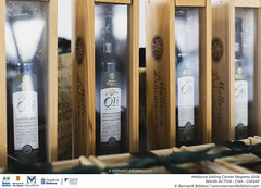 MALLORCA SAILING CENTER REGATTA 2026 · PGC